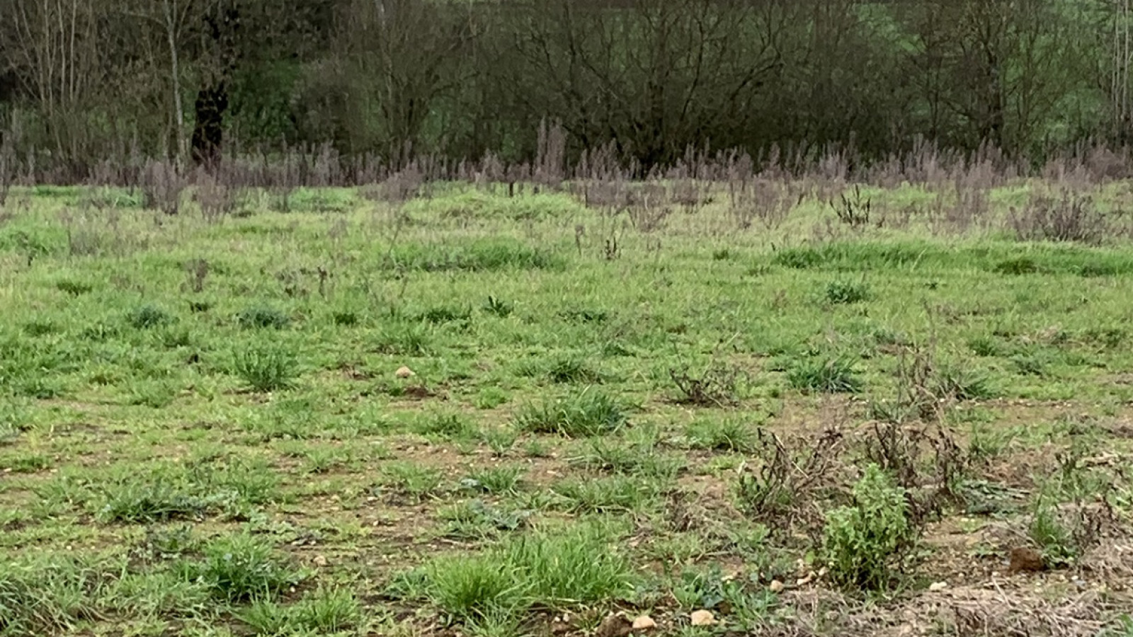 Terrain constructible de 770m2 à Margaux-Cantenac