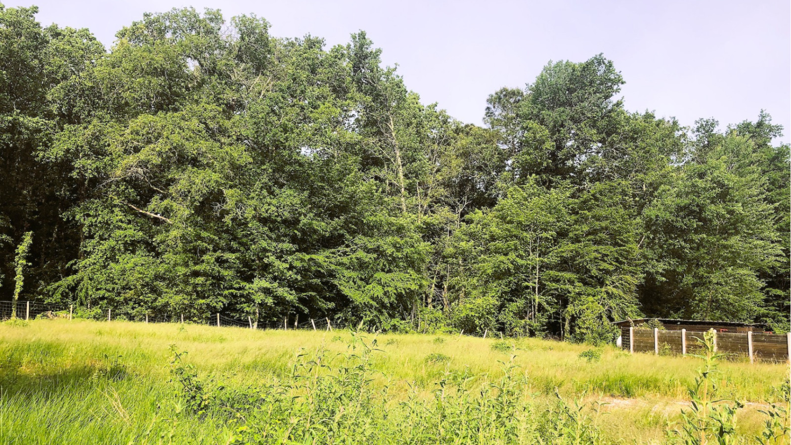 Terrain constructible de 432m2 à Avensan