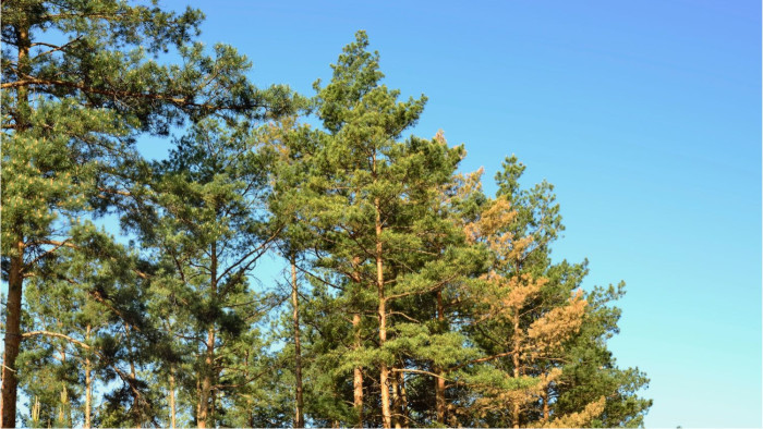 S'installer dans les Landes