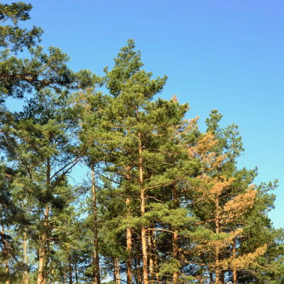 S'installer dans les Landes