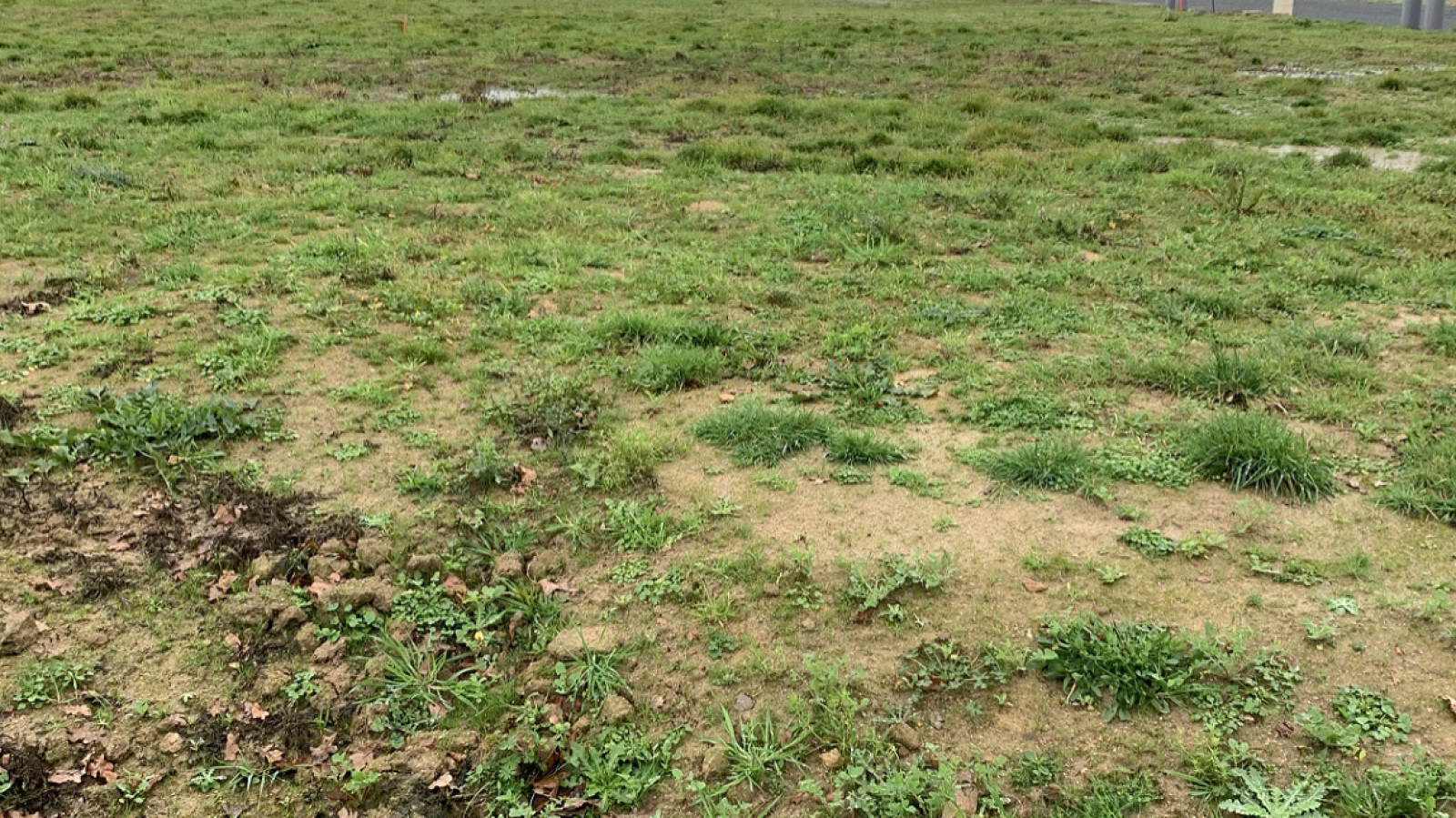 Terrain constructible de 525m2 à Saint-Savin