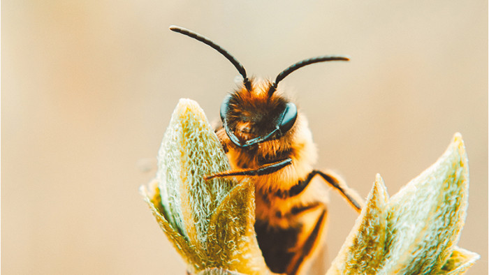 RE2025 : nouveau palier de la RE2020 !