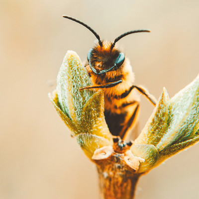 RE2025 : nouveau palier de la RE2020 !