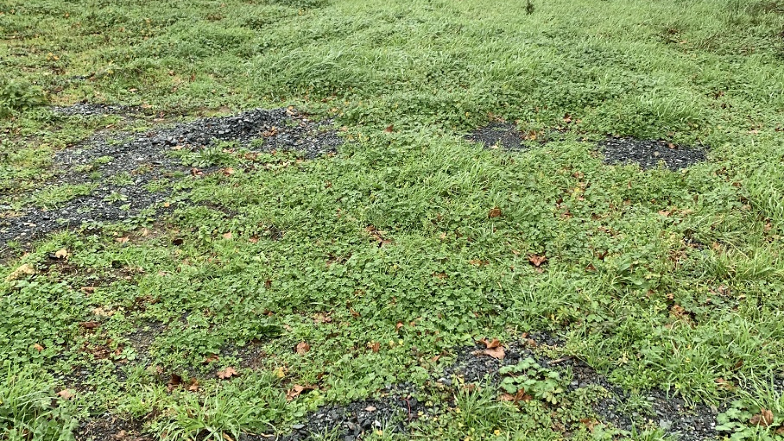 Terrain constructible de 880m2 à Saint-Sulpice-et-Cameyrac