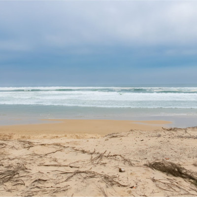 Les Landes offrent de grands terrains agréables pour la construction de maison