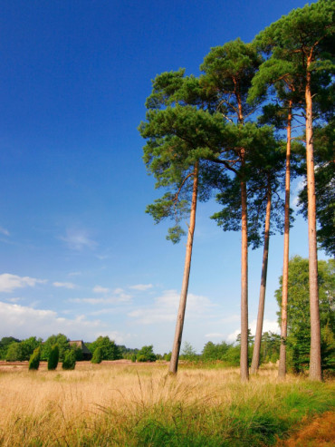 Votre texte de paragraphe (2).jpg