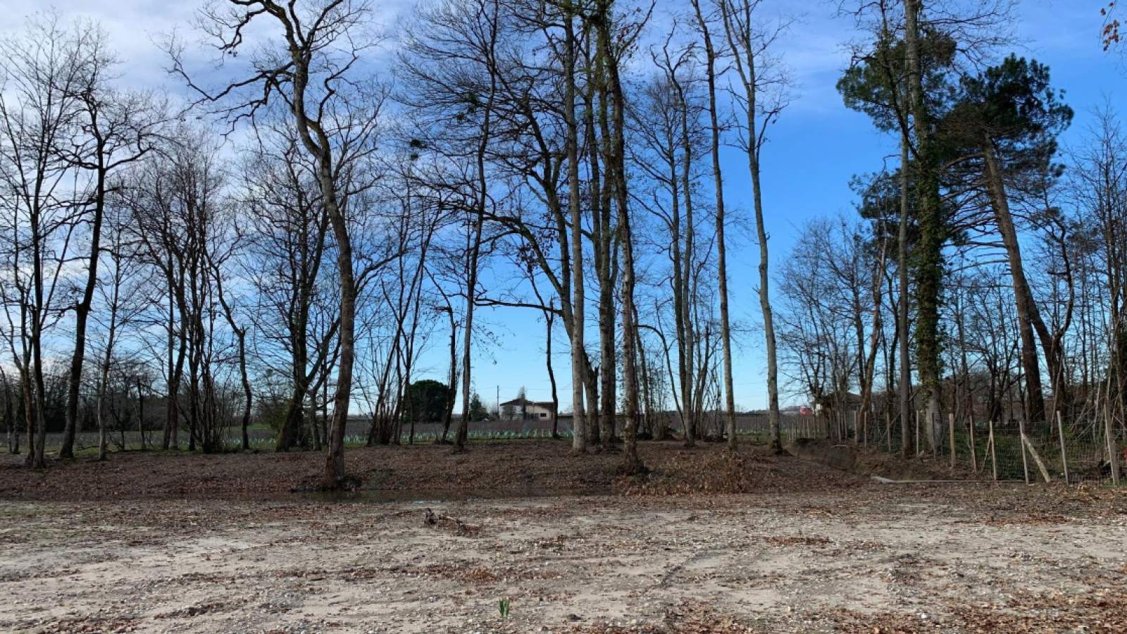 Terrain constructible de 445m2 à Le Barp