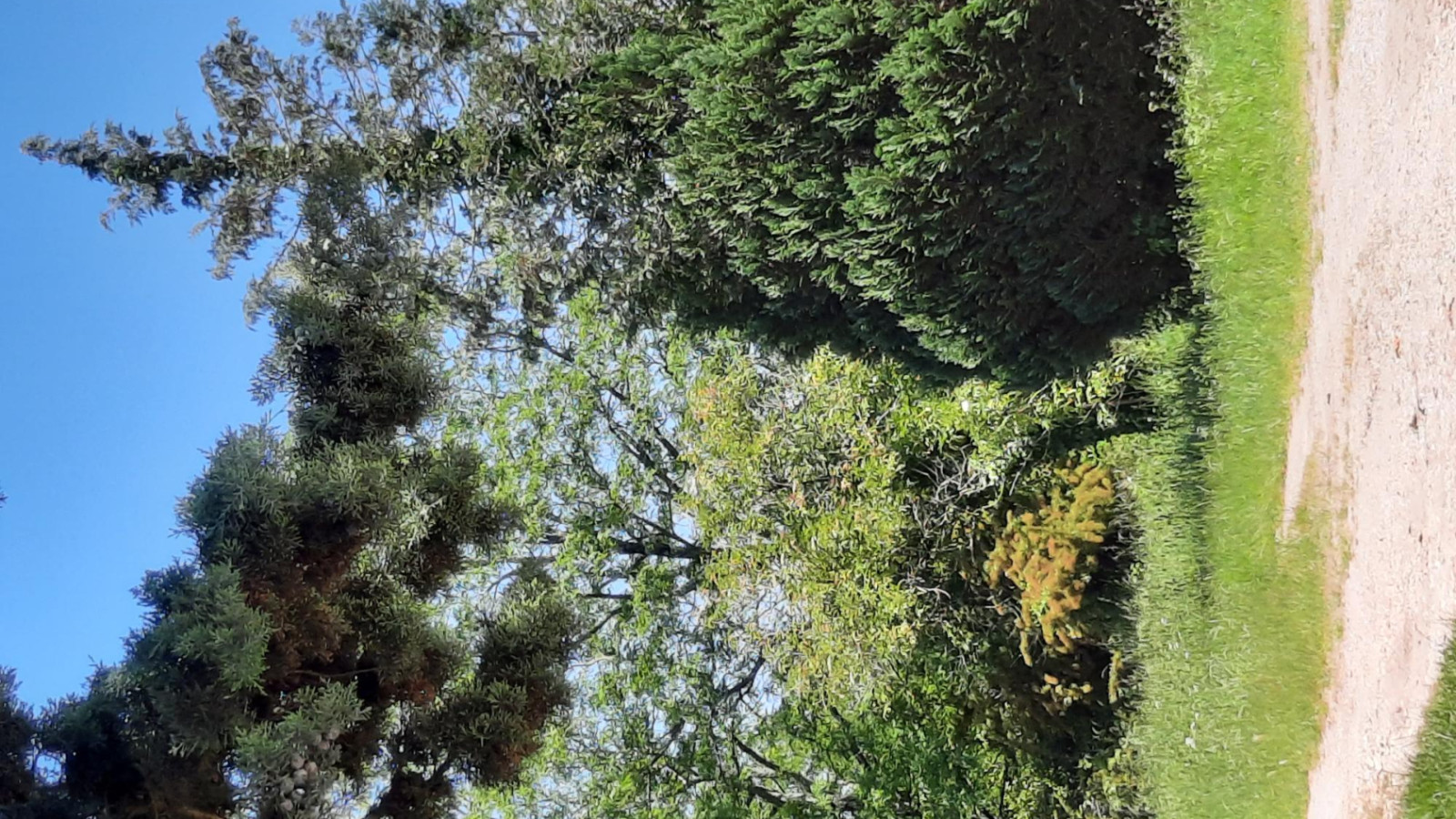 Terrain constructible de 561m2 à Saint-Laurent-Médoc