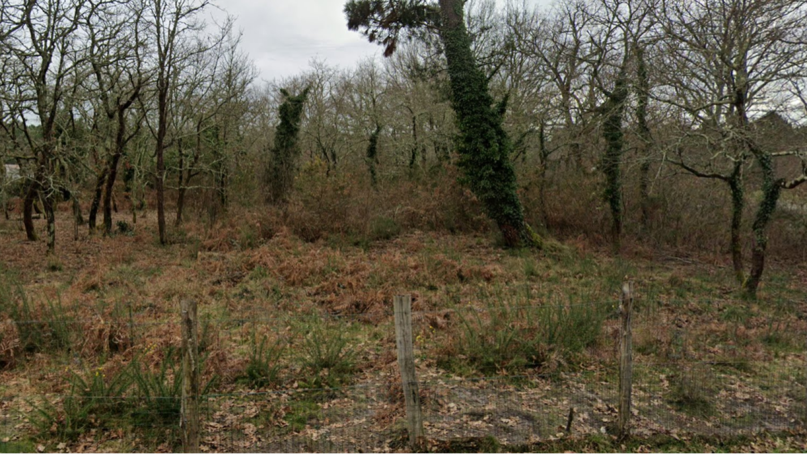 Terrain constructible de 653m2 à Labouheyre