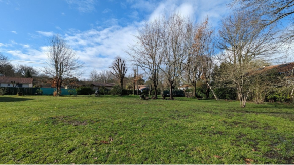 TERRAIN MIOS - DIFFUS.png