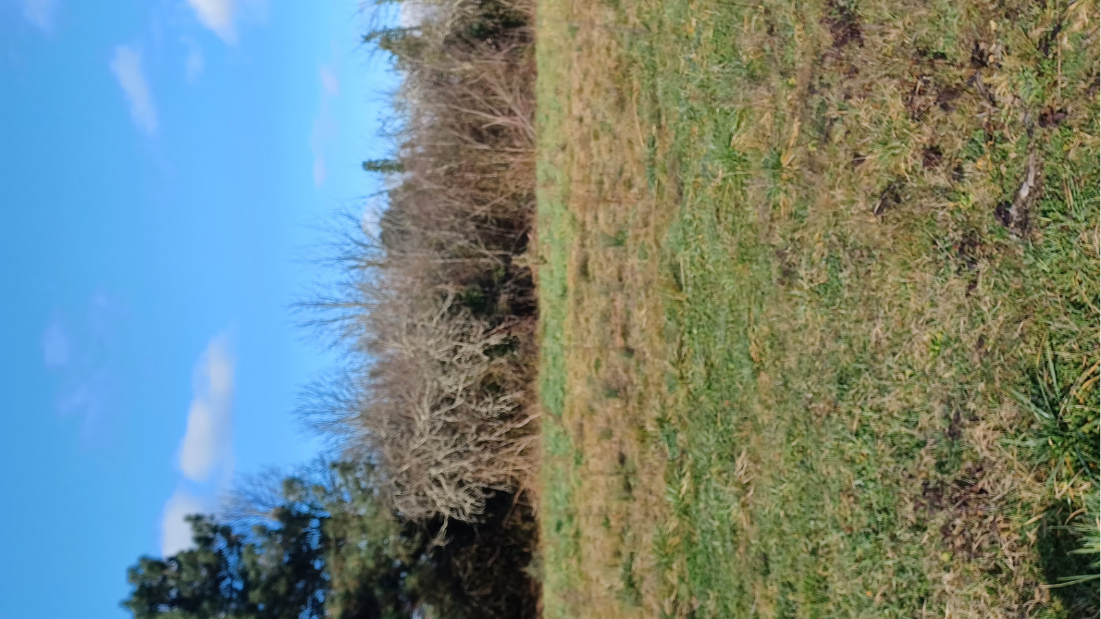 Terrain constructible de 725m2 à Le Temple