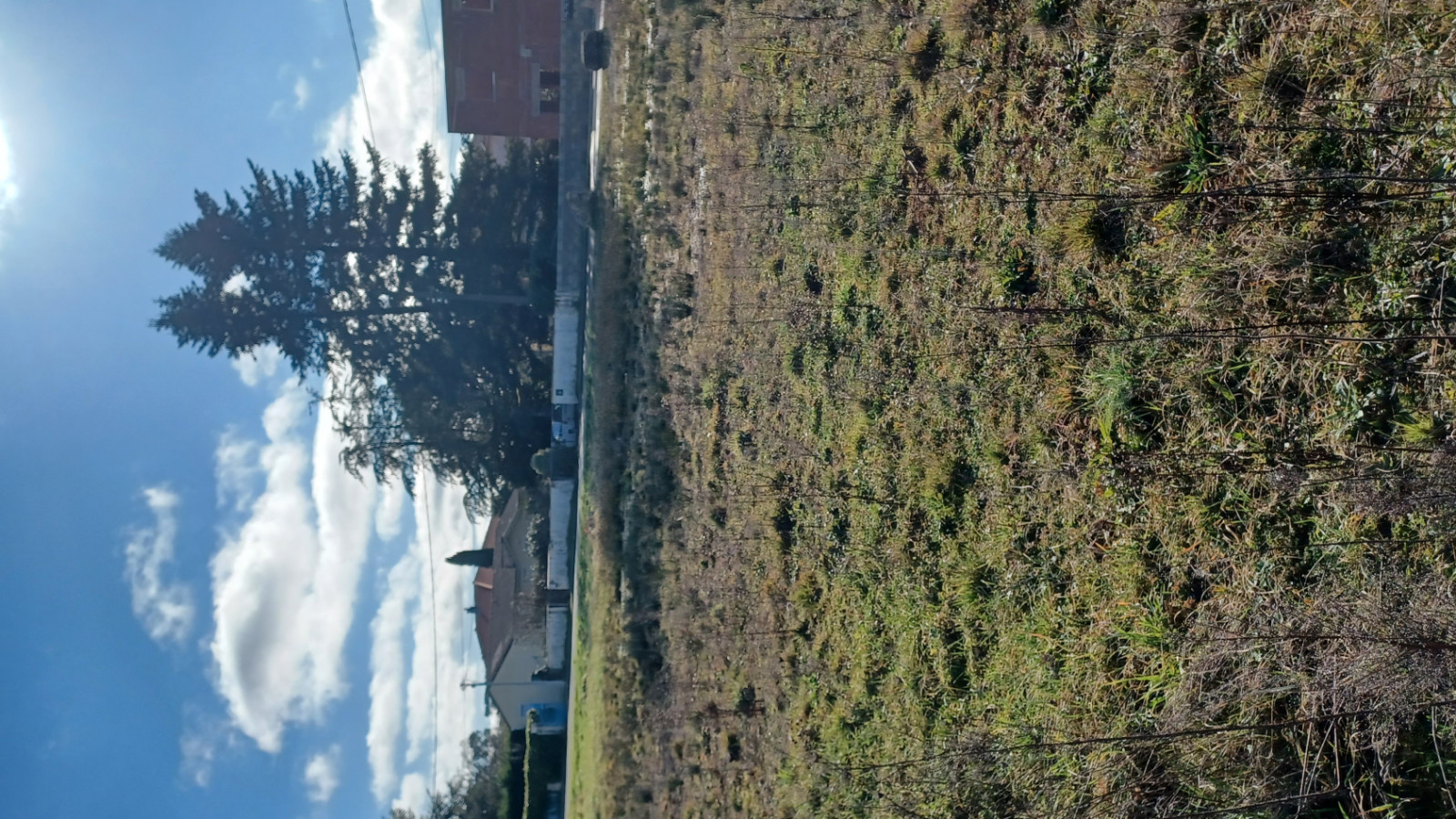 Terrain constructible de 664m2 à Montussan