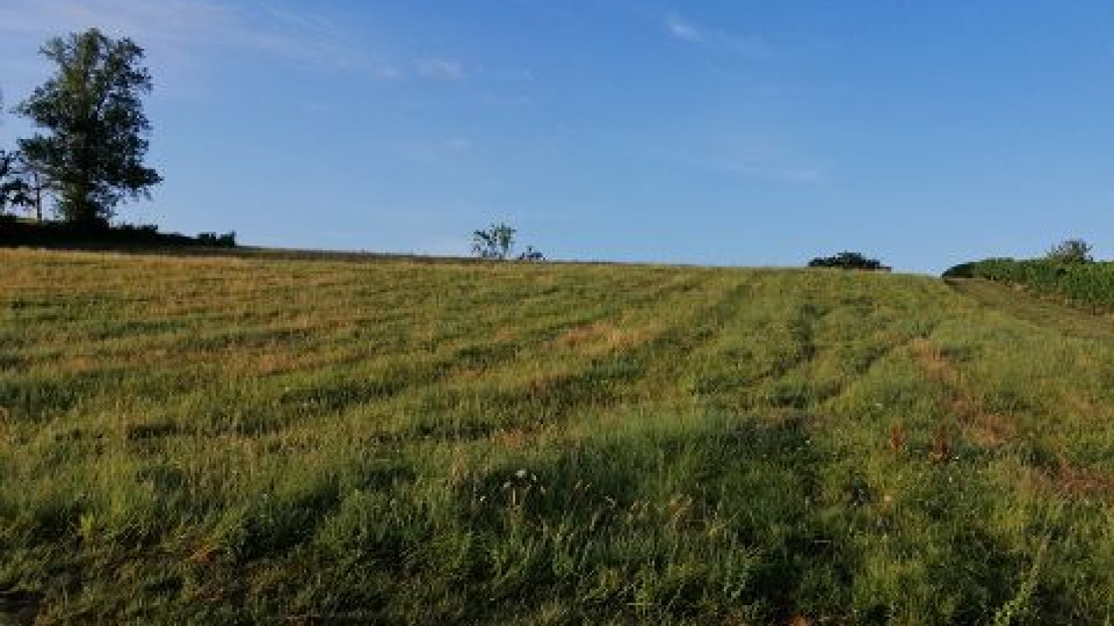 Terrain constructible de 810m2 à Sallebœuf