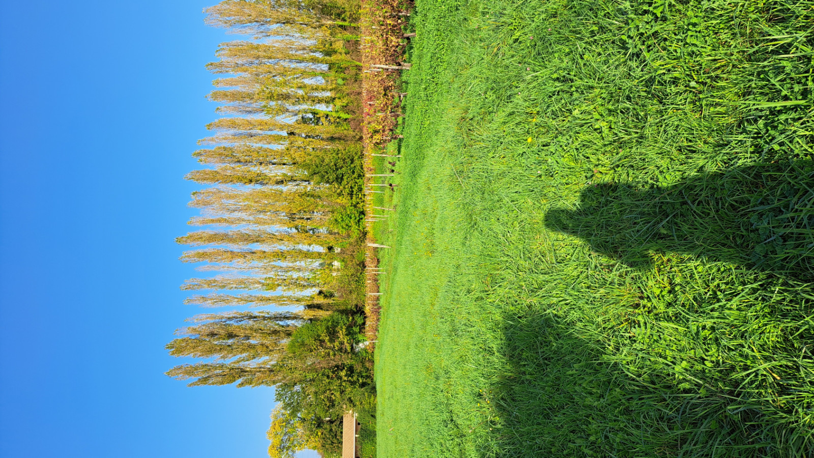 Terrain constructible de 3100m2 à Cartelègue