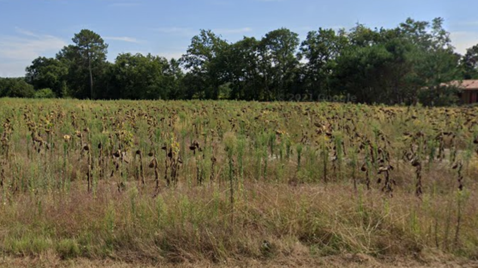 Terrain constructible de 410m2 à Seignosse