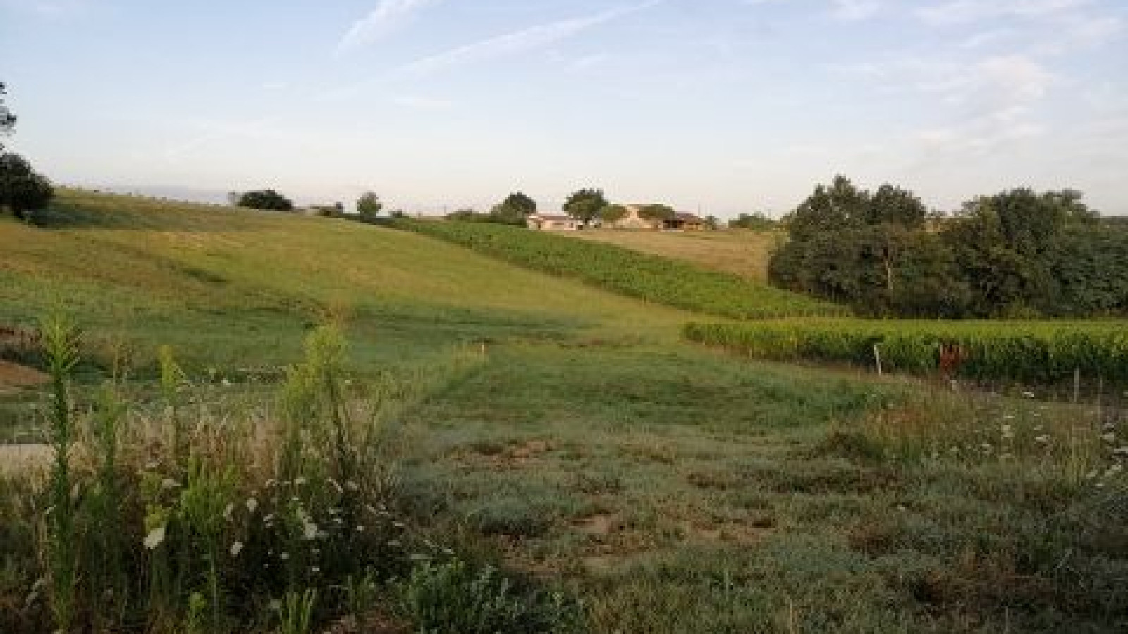 Terrain constructible de 930m2 à Vensac