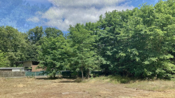 Capture d'écran 2025-09-29 144505.png