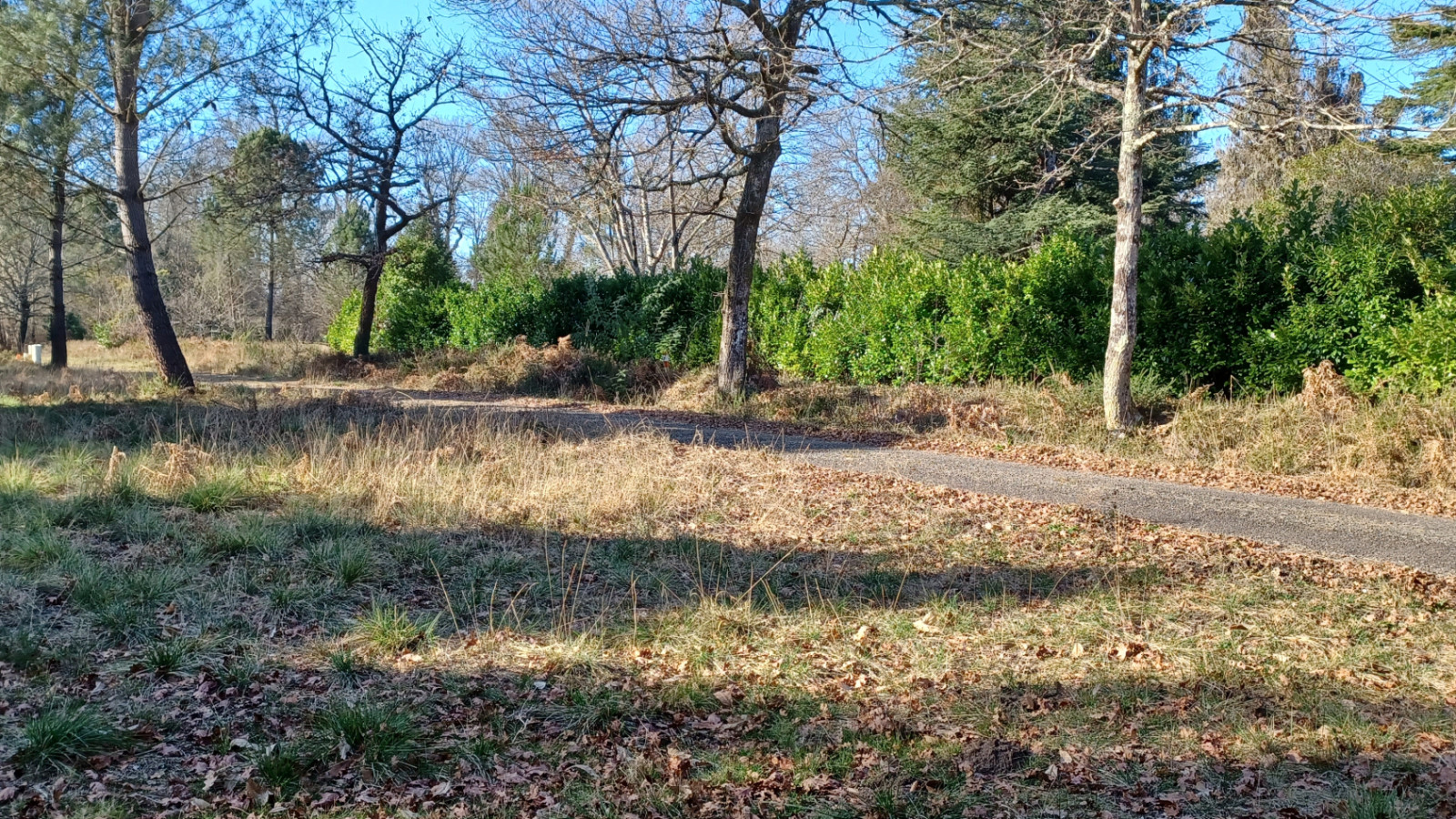 Terrain constructible de 425m2 à Linxe