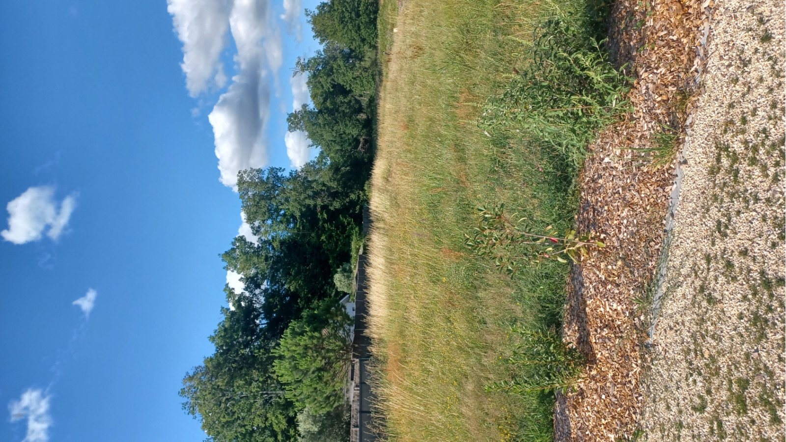 Terrain constructible de 343m2 à La Lande-de-Fronsac