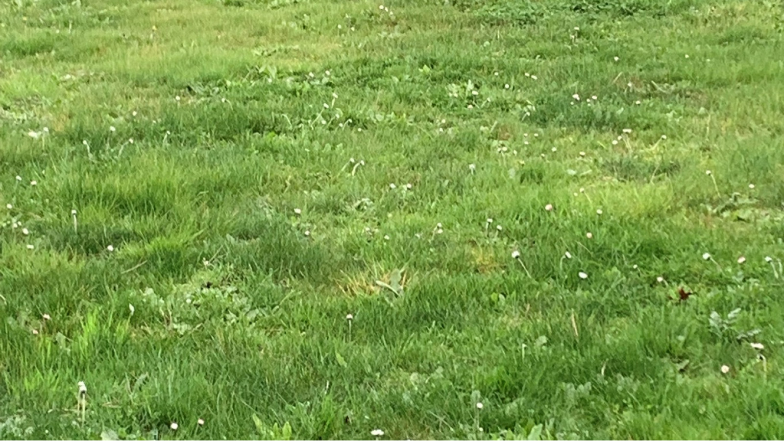 Terrain constructible de 375m2 à Langon