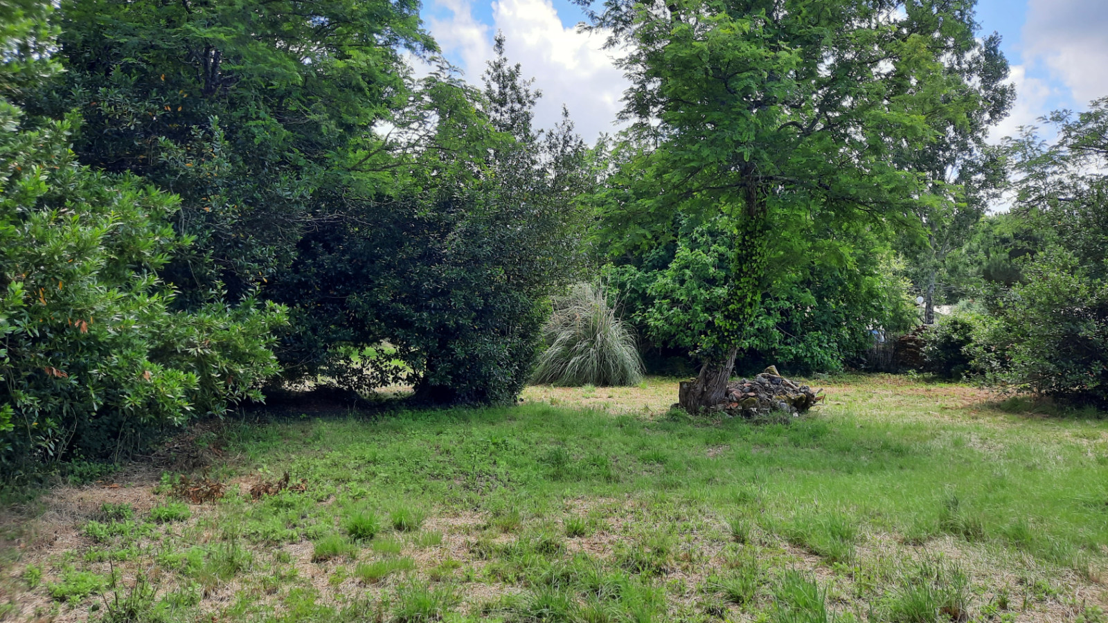 Terrain constructible de 883m2 à Cestas