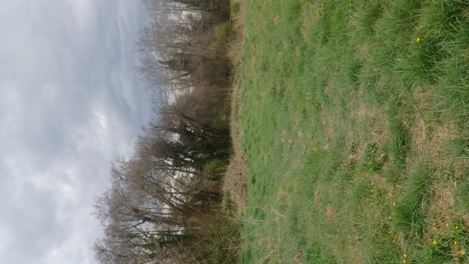 Terrain constructible de 974m2 à Bazas