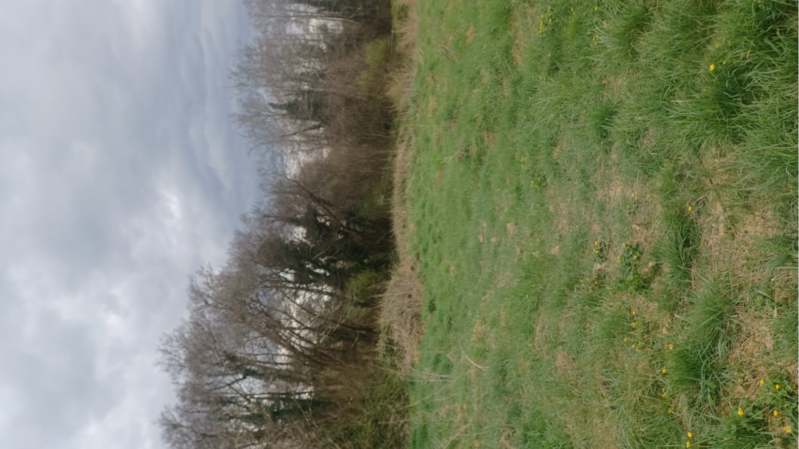 Terrain constructible de 974m2 à Bazas