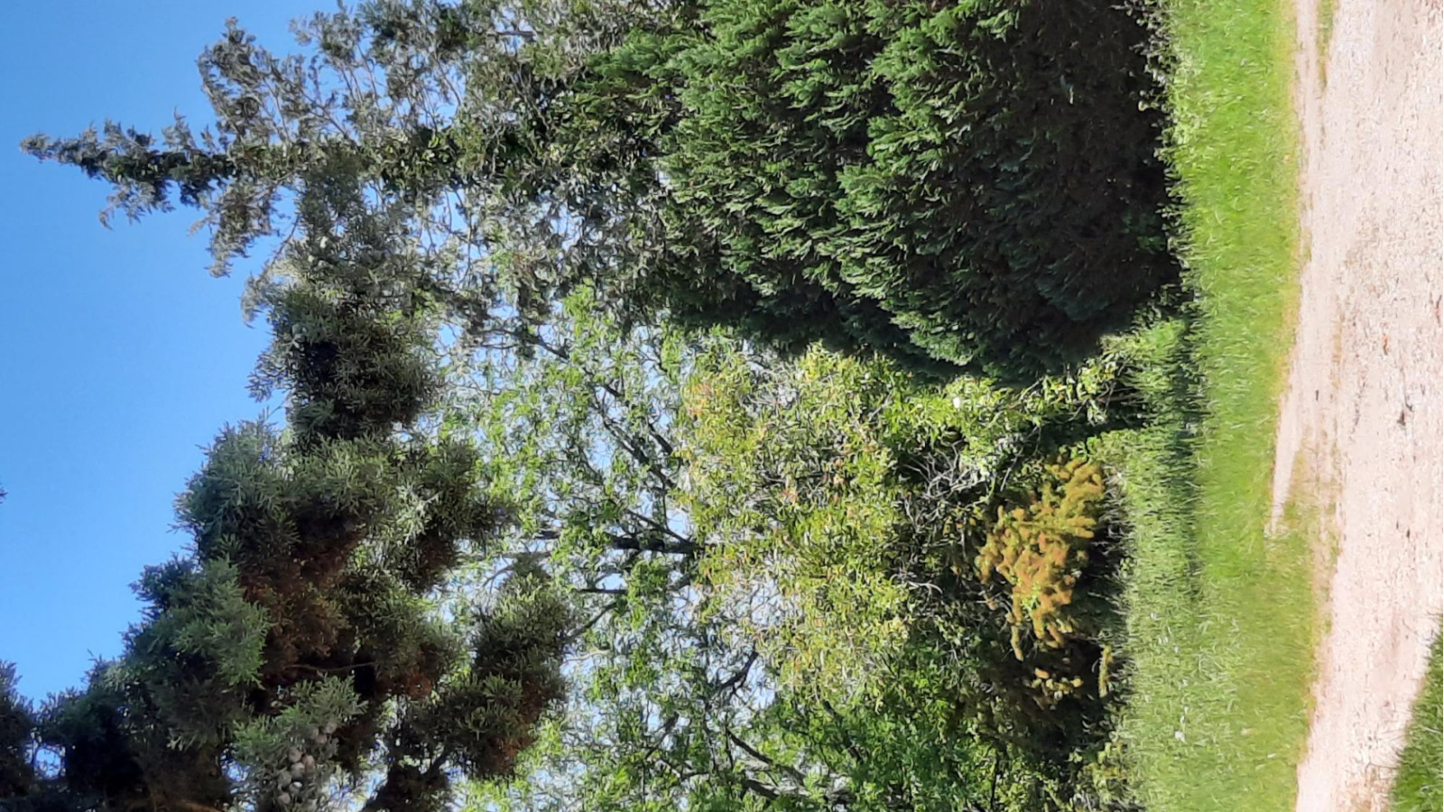 Terrain constructible de 504m2 à Martillac