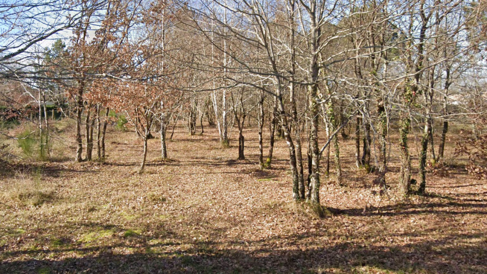 Terrain constructible de 623m2 à Labouheyre