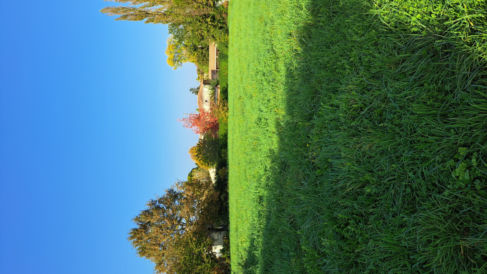 Terrain constructible de 551m2 à Montussan