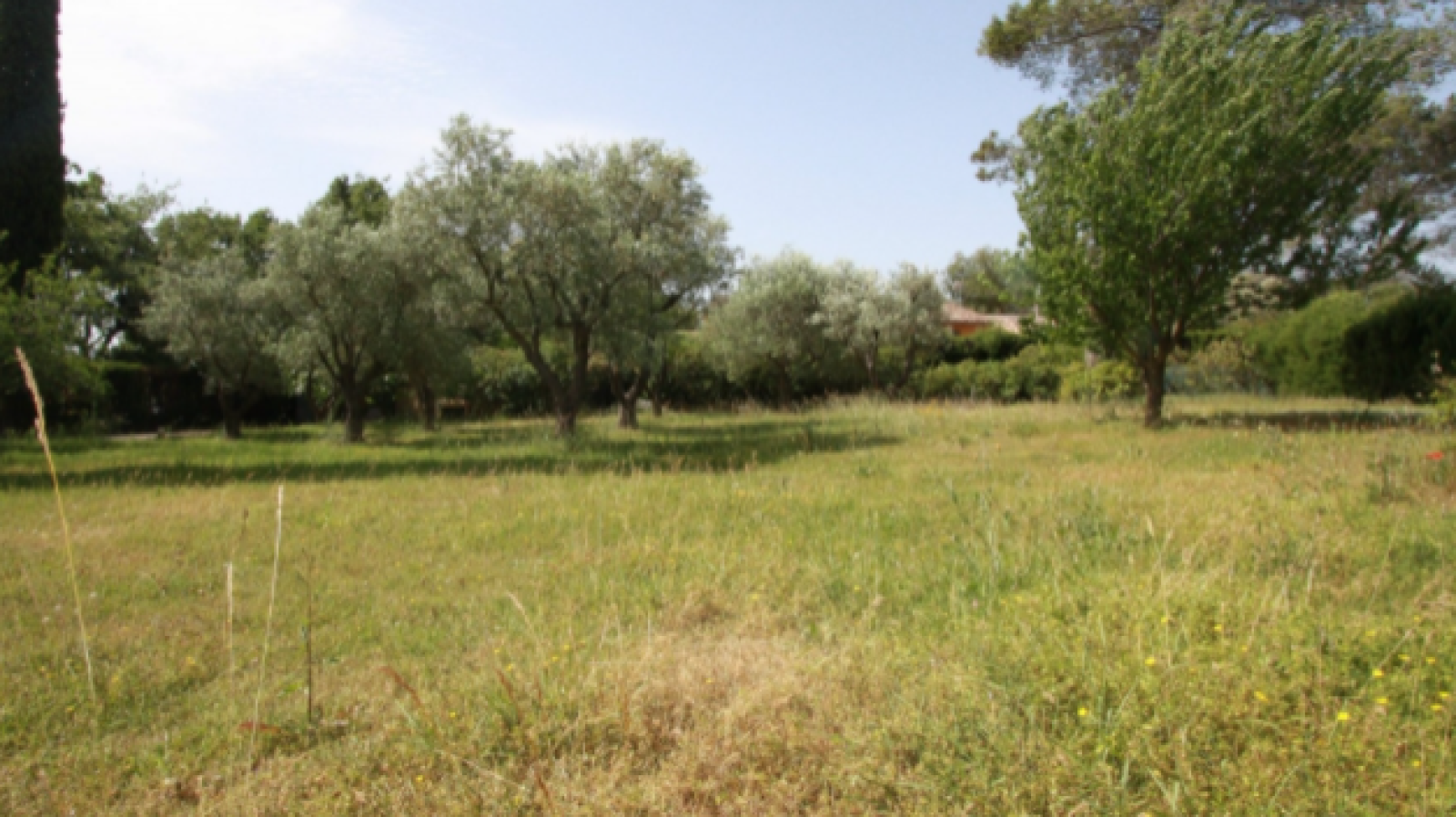 Terrain constructible de 687m2 à Le Tuzan