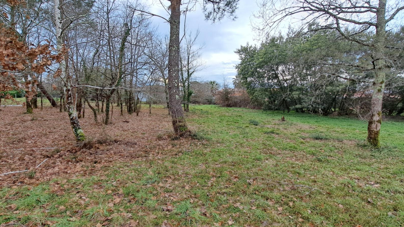 Terrain constructible de 1505m2 à Gujan-Mestras