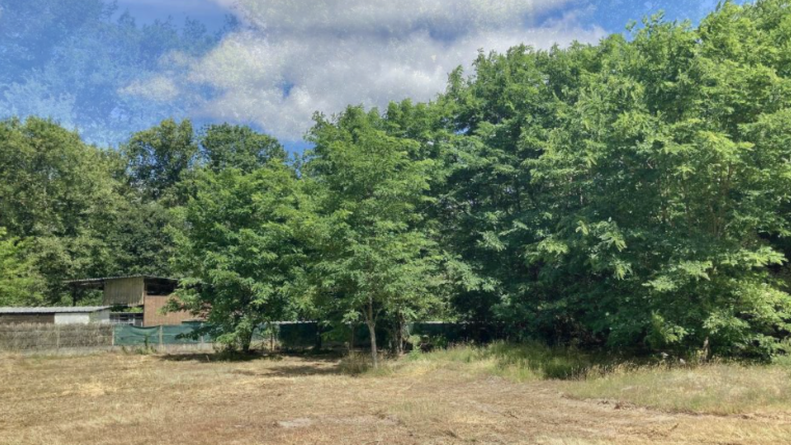 Terrain constructible de 1500m2 à Martillac