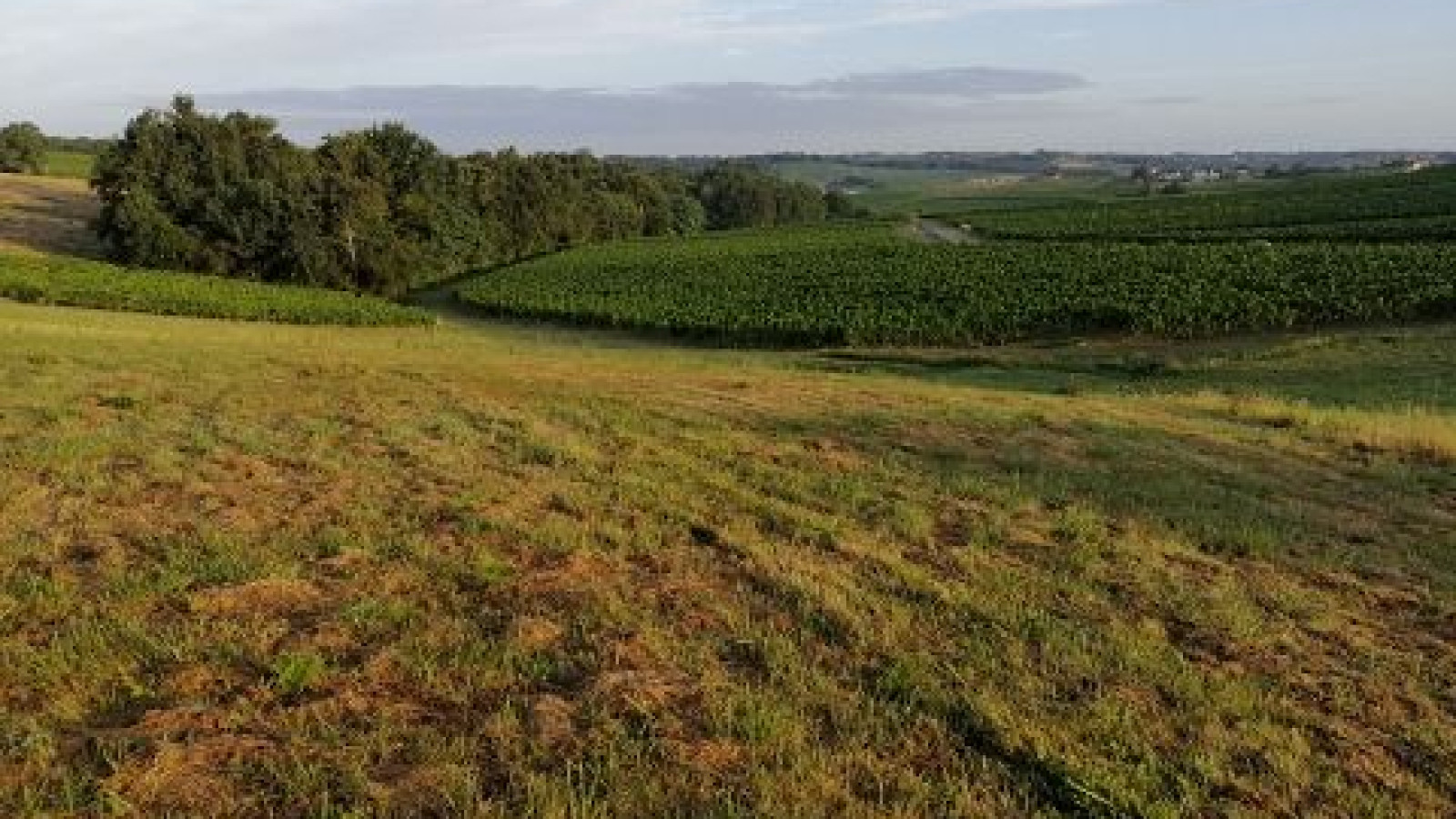 Terrain constructible de 1376m2 à Latresne