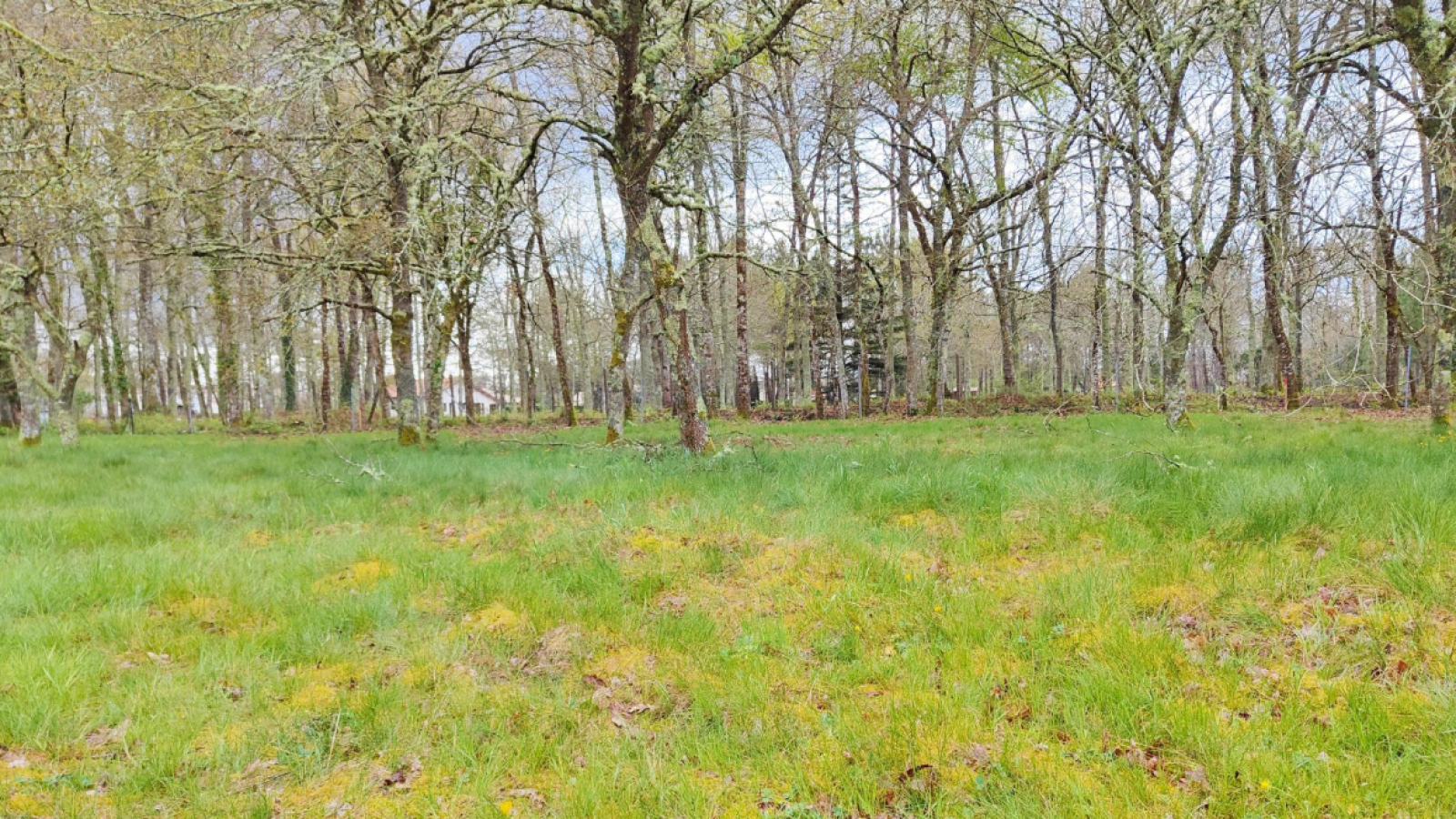 Terrain constructible de 323m2 à Vayres