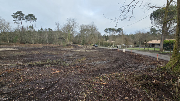 TERRAIN PARTICED.jpg