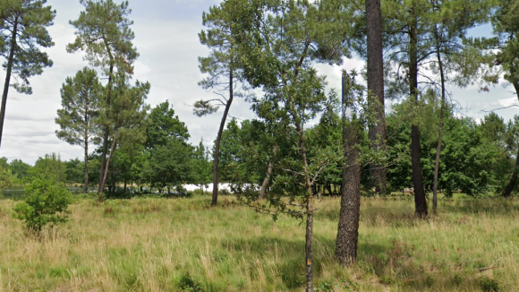 Capture d'écran 2025-02-07 111150.png