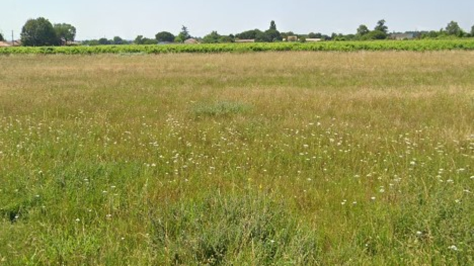Terrain constructible de 1350m2 à Étauliers