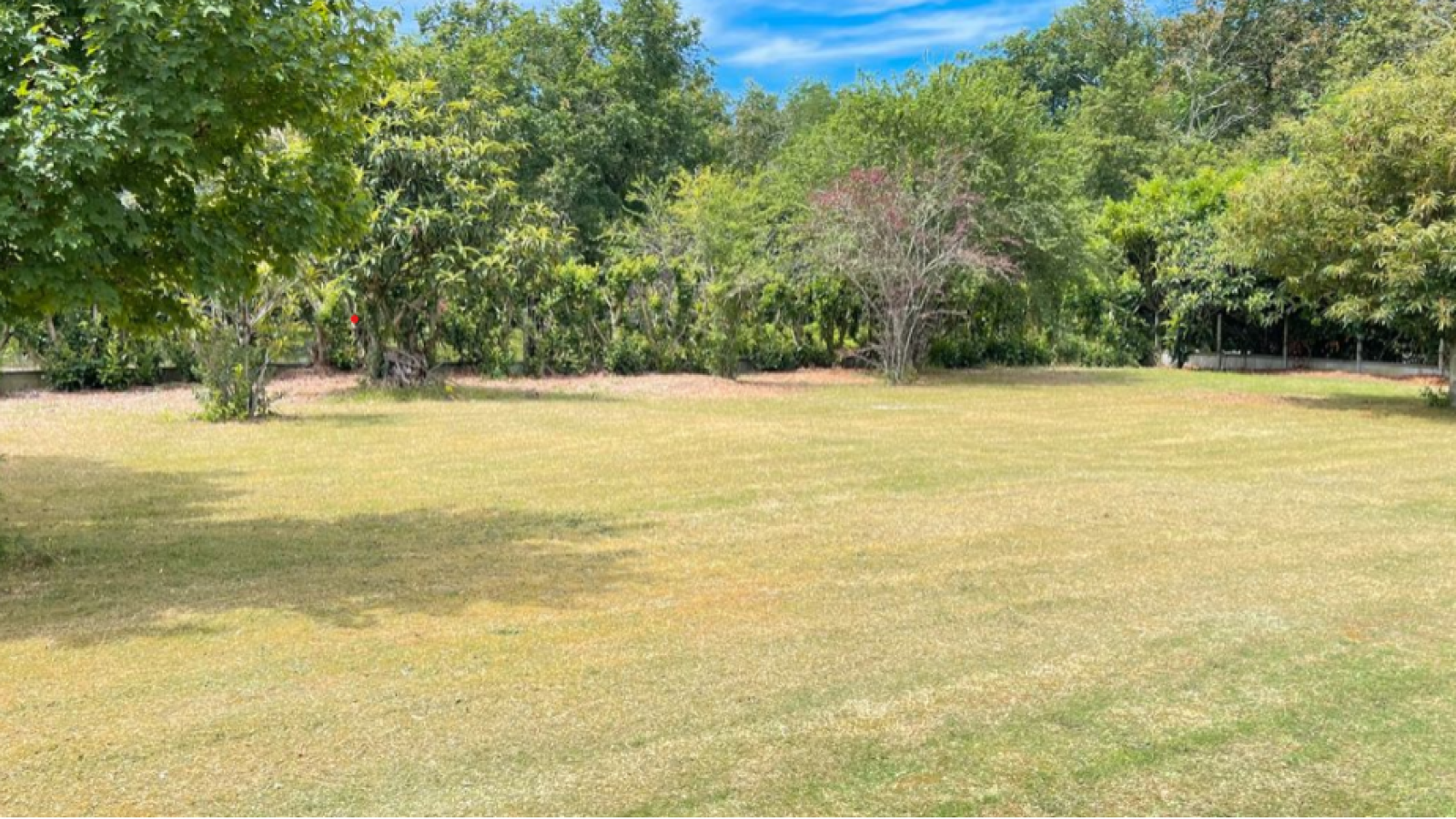 Terrain constructible de 1170m2 à Balizac