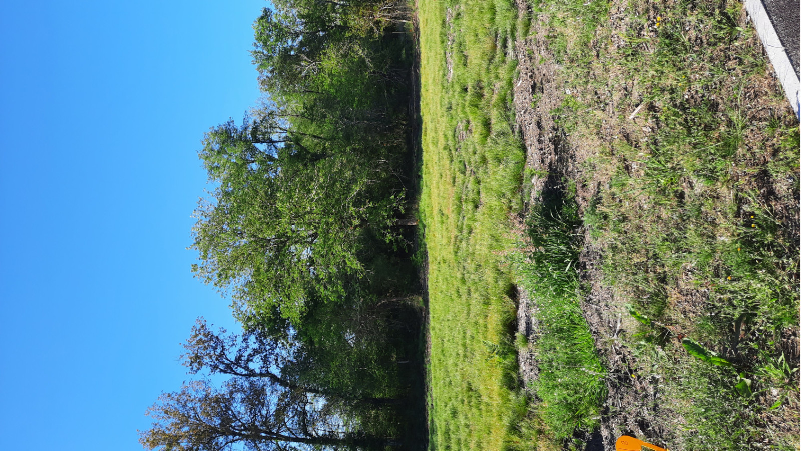 Terrain constructible de 700m2 à Azur