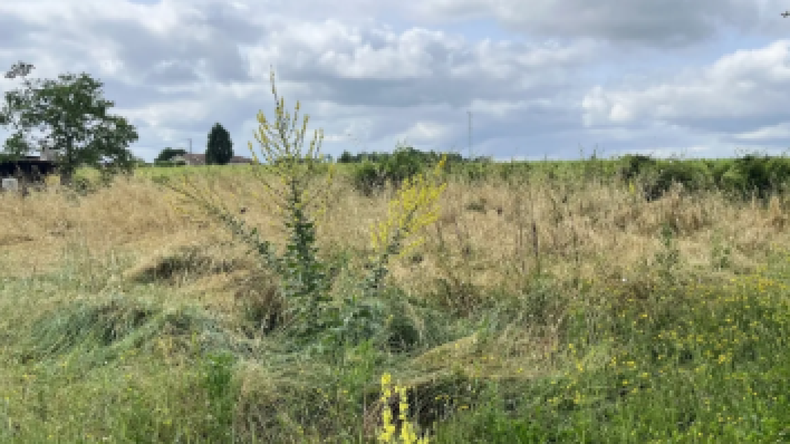 Terrain constructible de 800m2 à Galgon