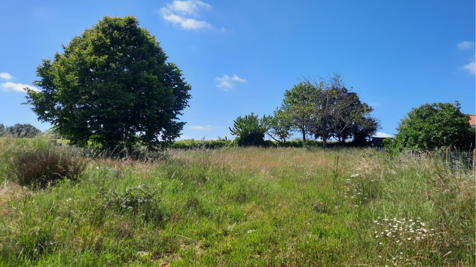 Terrain constructible de 736m2 à Salaunes