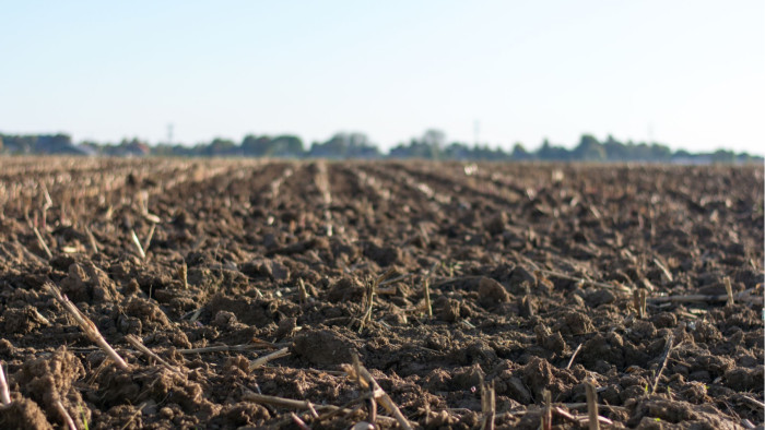 Le choix du terrain : les questions à se poser