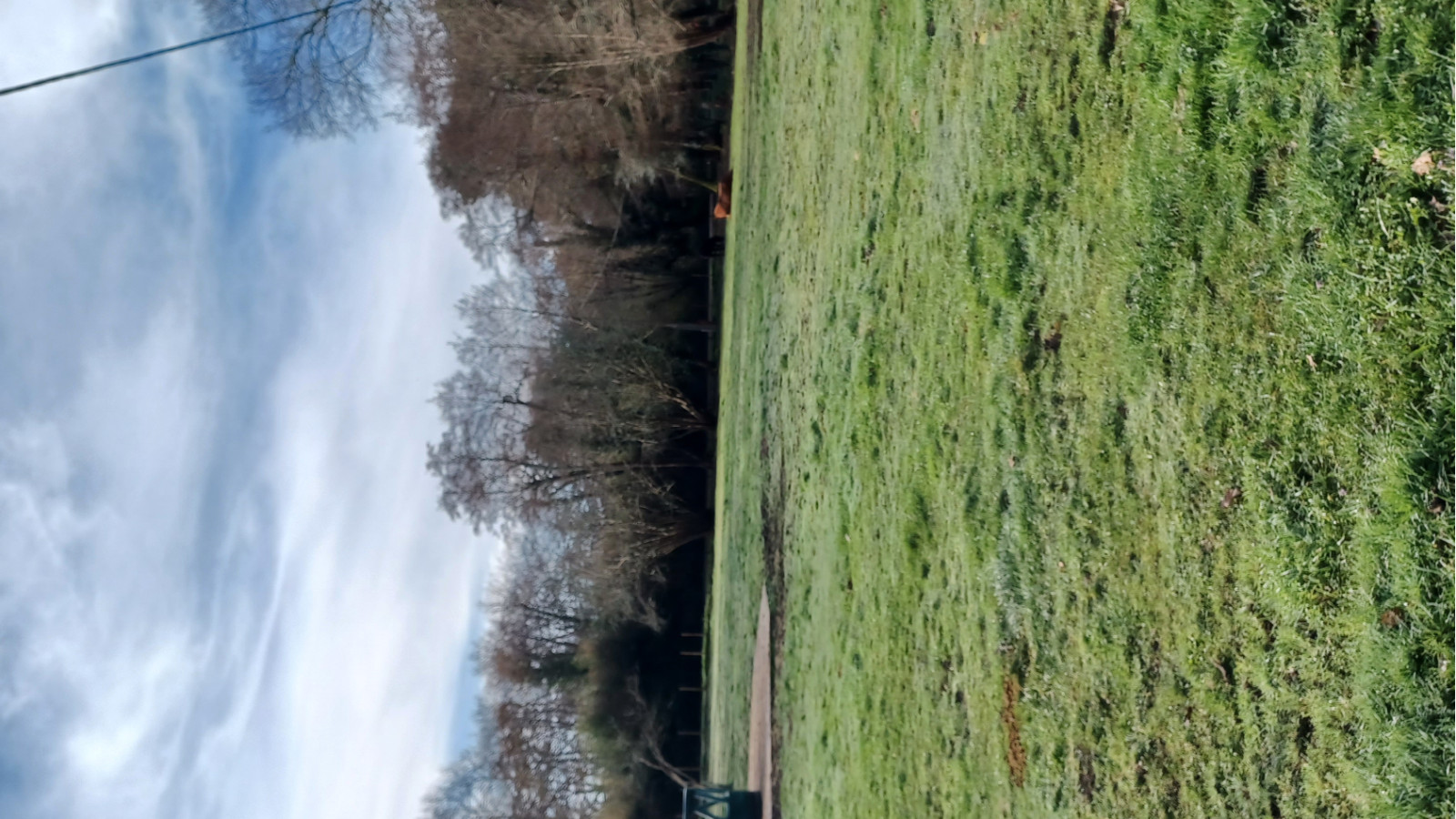 Terrain constructible de 4000m2 à La Teste-de-Buch