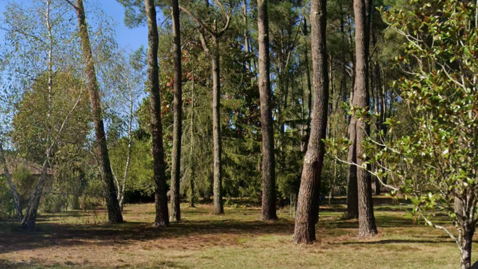 Terrain constructible de 1000m2 à Salles