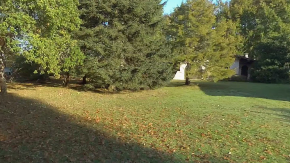 Capture d'écran 2026-03-03 123008.png