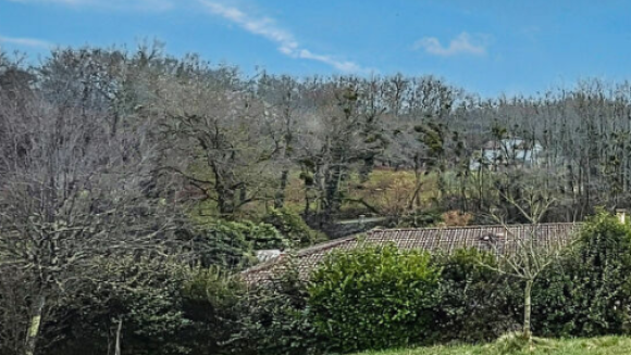 Capture d'écran 2026-03-04 110309.png