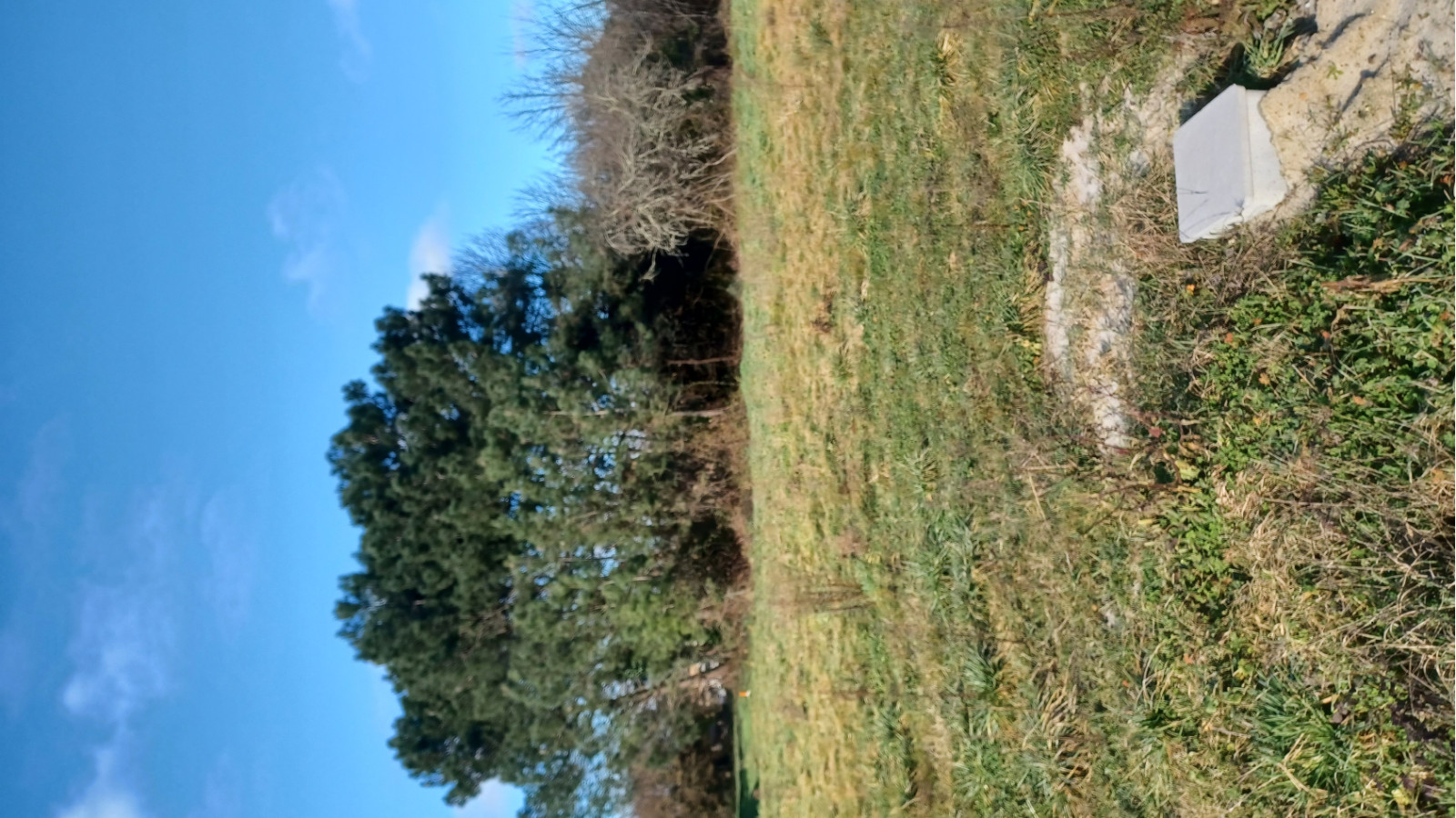 Terrain constructible de 1359m2 à Pugnac