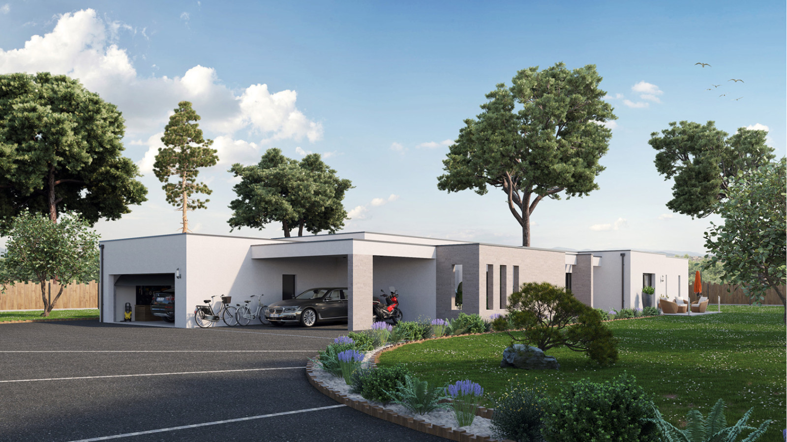 TS1713 - Brocas_Avant.jpg