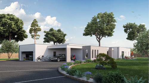 TS1713 - Brocas_Avant.jpg